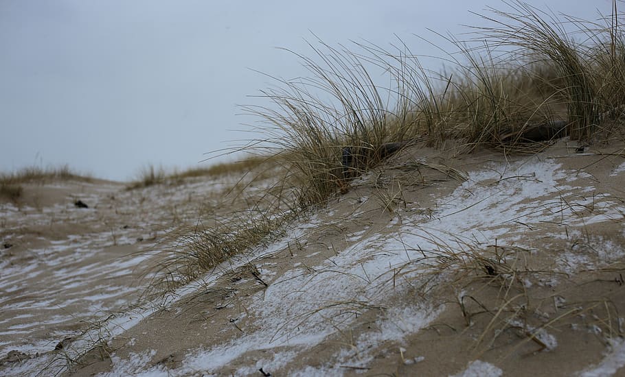 denmark, blåvand, snowy, cold, dunes, sand dunes, sky, cloudy HD wallpaper