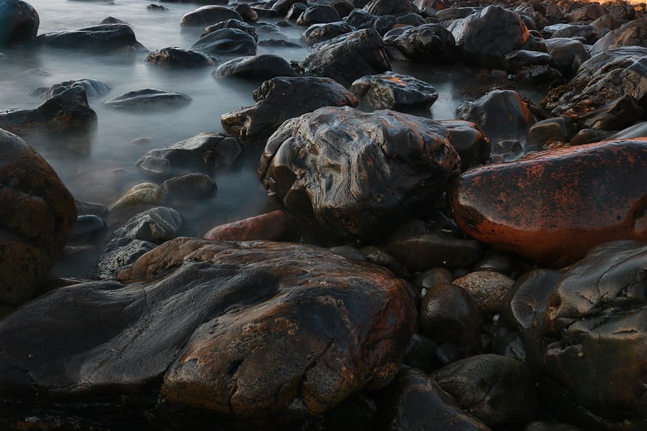 rocks scattered on river, sea life, animal, reptile, turtle, pebble HD wallpaper