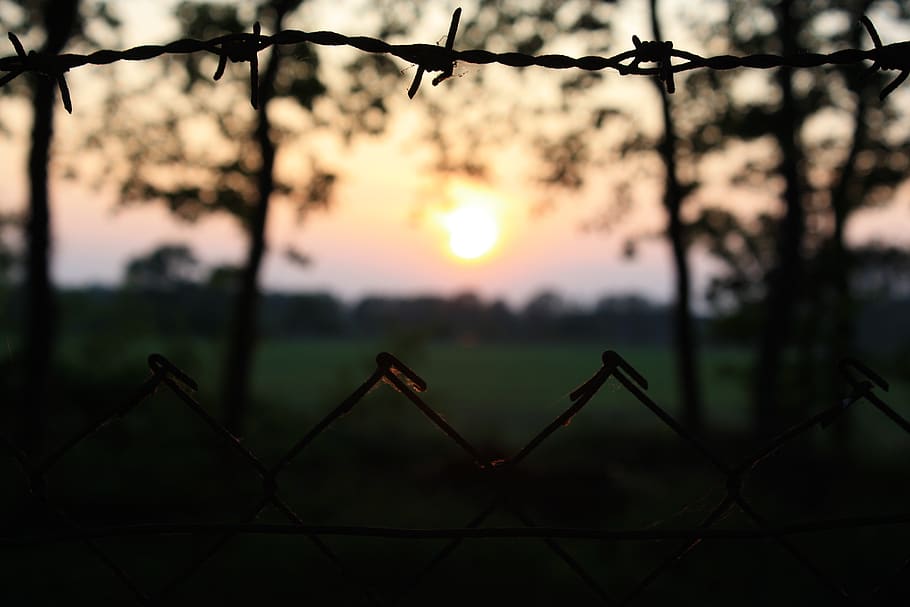 sun, nature, barbed wire, sunset, mood, dusk, rest, sunlight HD wallpaper