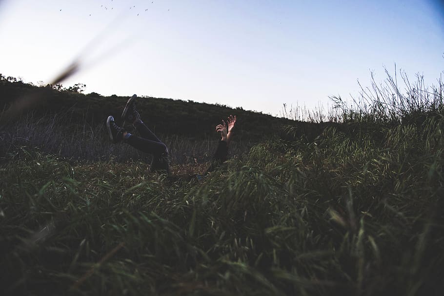 field, falling, love, friends, flowers, sunset, golden hour HD wallpaper