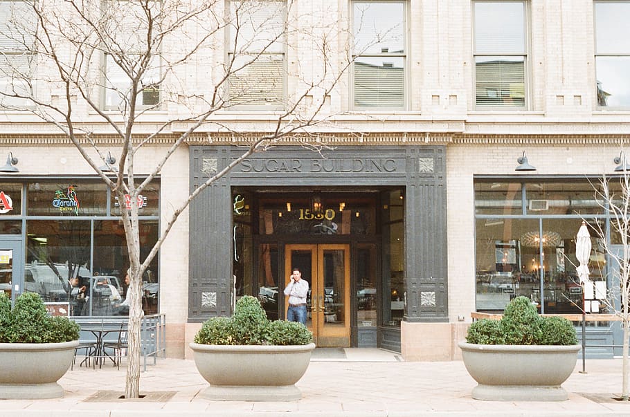 building, man, phone, talking, restaurnts, trees, plants, sidewalk HD wallpaper
