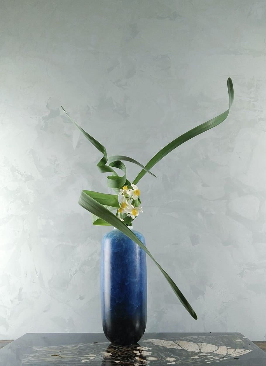 blue ceramic vase, indoors, no people, nature, plant, flower HD wallpaper