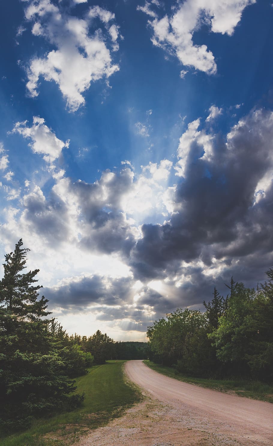sun, clouds, trees, nature, explore, cloud - sky, road, the way forward HD wallpaper