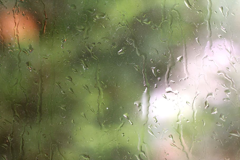 rain, drop, water, wet, window, glass - material, transparent HD wallpaper