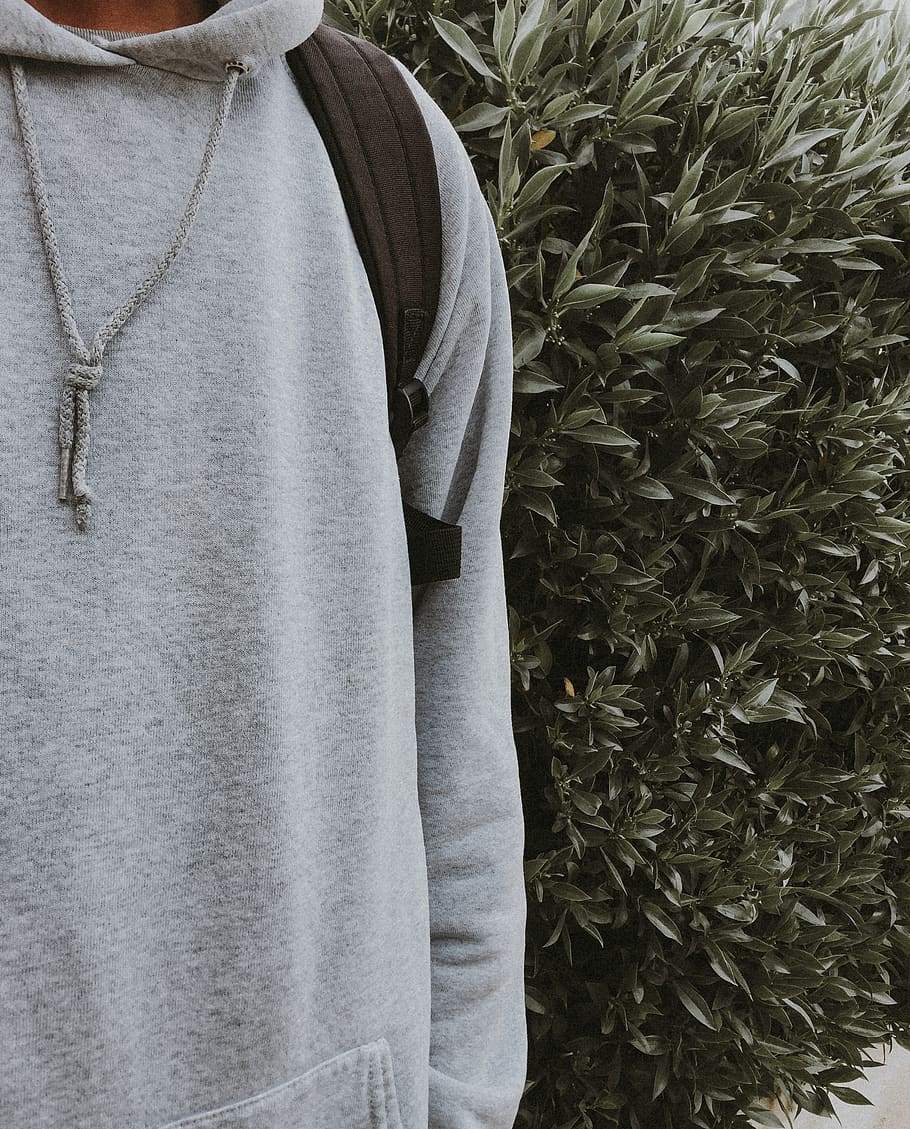 green, art, camera, iphone, unsplash, instagram, portrait, plant HD wallpaper