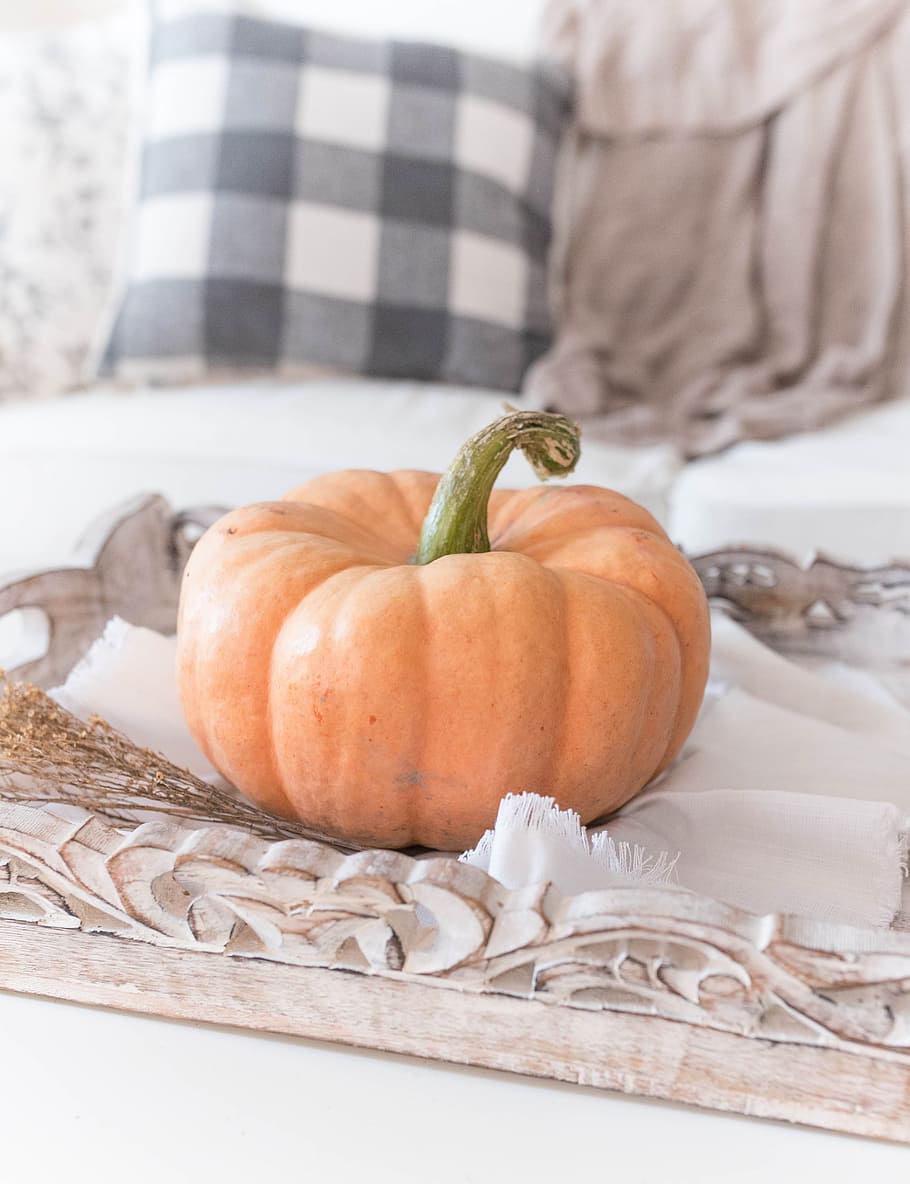 pumpkin on tray, decor, autumn, fall, halloween, fall decor, food HD wallpaper
