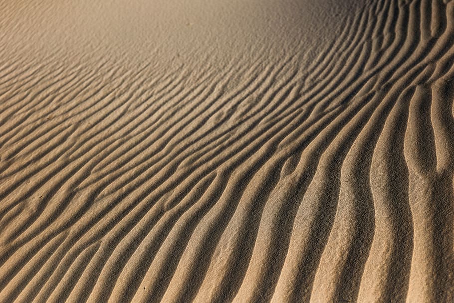 dunes, sand, utah, desert, texture, background, patrick hendry, HD wallpaper