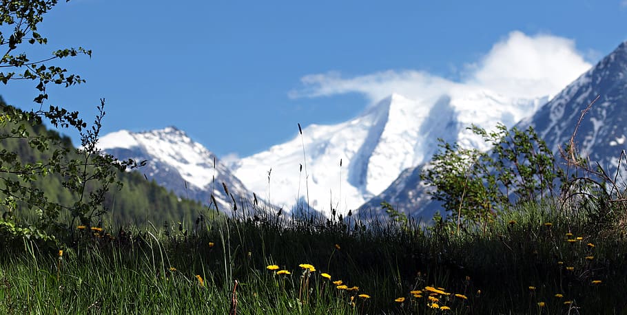 mountains, meadow, summer, panorama, landscape, nature, alpine HD wallpaper