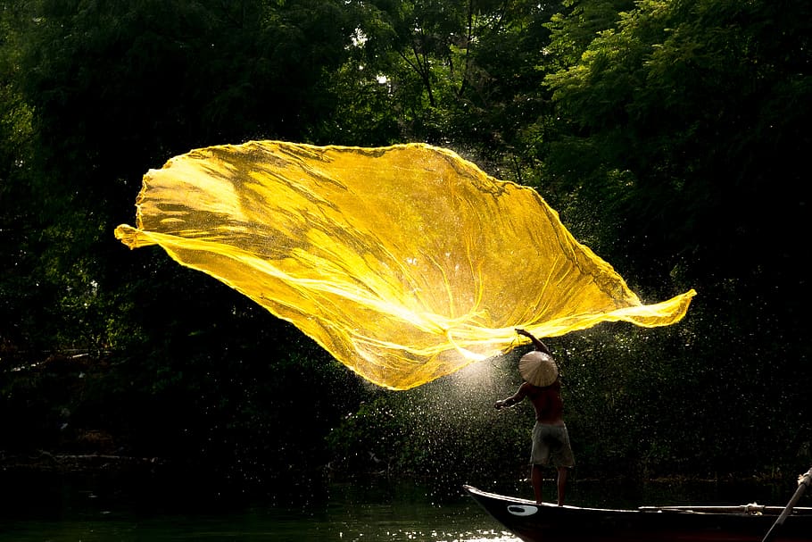 fdg, water, plant, yellow, nature, real people, tree, beauty in nature HD wallpaper