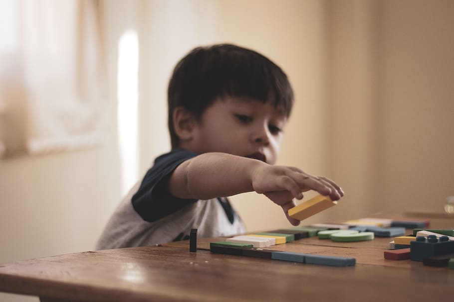Boy Holding Block Toy, child, cute, kid, playing, childhood, offspring HD wallpaper