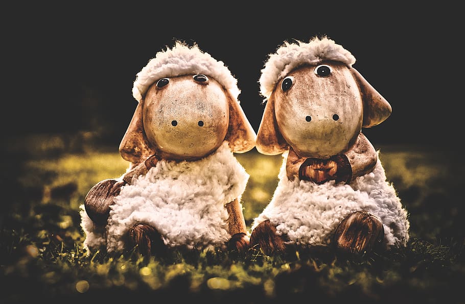 sheep, deco, ceramic, cute, figure, soft toy, wool, face, ungulate HD wallpaper