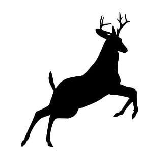 HD wallpaper: deer, mammal, wildlife, animal, elk, antler ...
