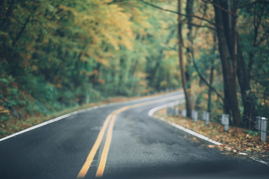 Asphalt Road Between Trees, back road, blurred background, blurry