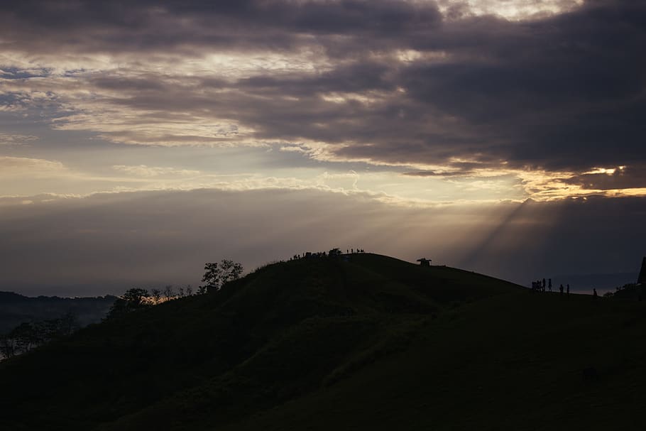 philippines, danao, danao adventure park, trees, bohol, sea of clouds, HD wallpaper