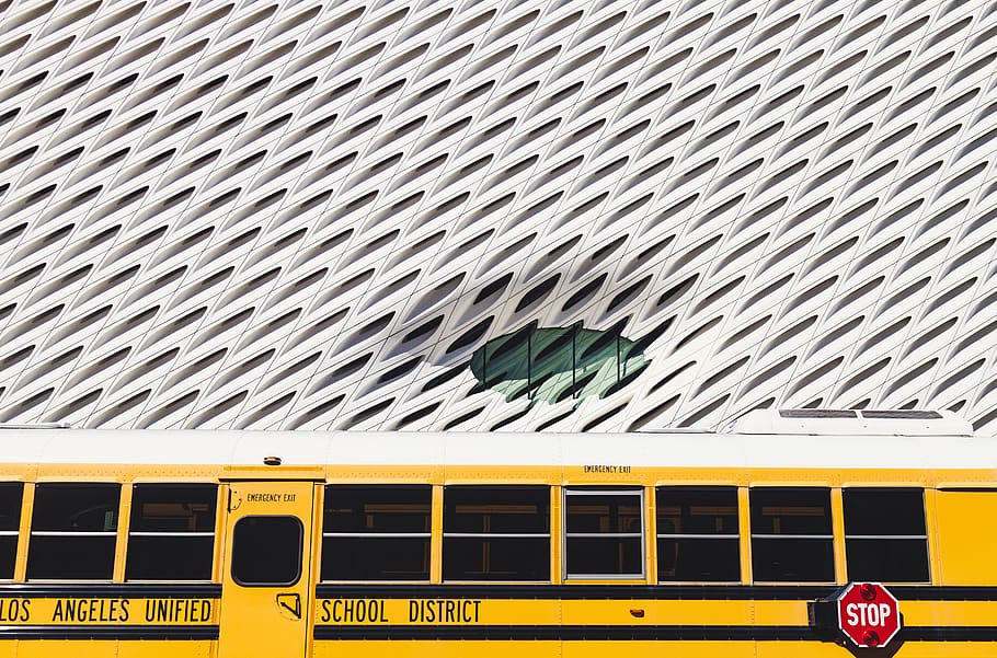 yellow bus, public transportation, mode of transportation, land vehicle HD wallpaper