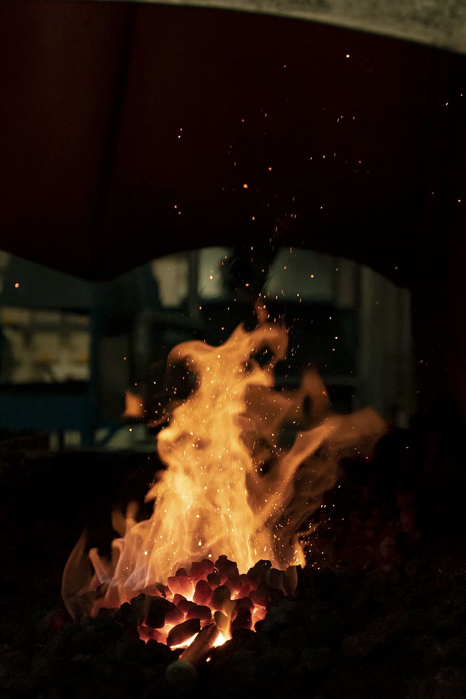 fire, flame, bonfire, glass, goblet, night life, ankle, animal