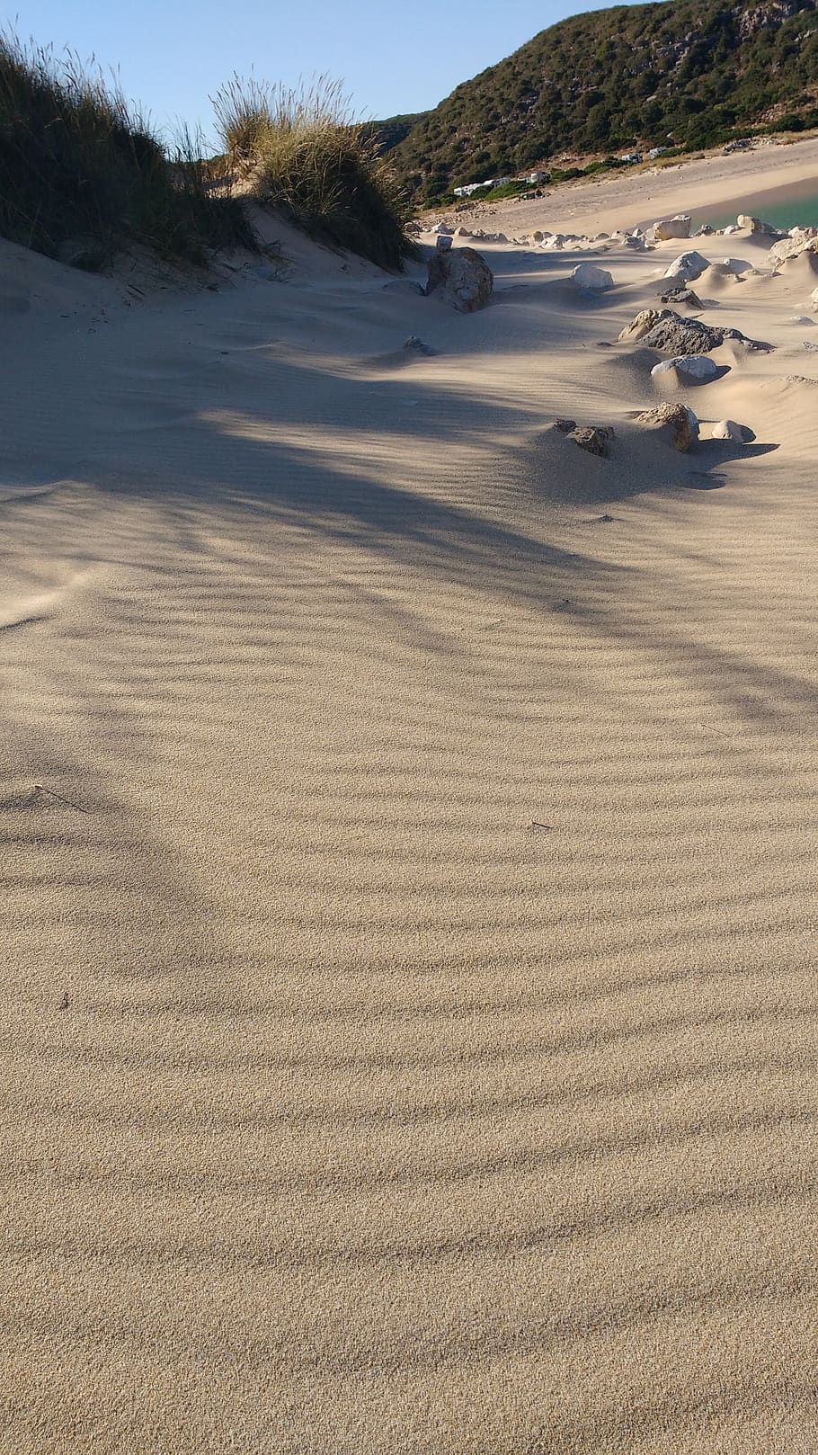 dune, sand, sea, beach, coast, grass, summer, land, scenics - nature HD wallpaper