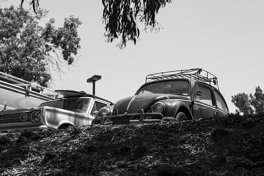 united states, san clemente, cars, vw, classic, surf, bug, black and white, HD wallpaper