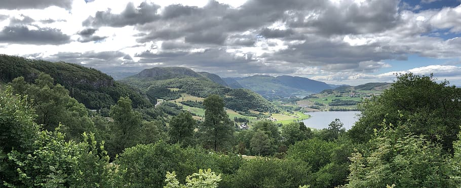norway, notodden, tree, plant, cloud - sky, beauty in nature HD wallpaper