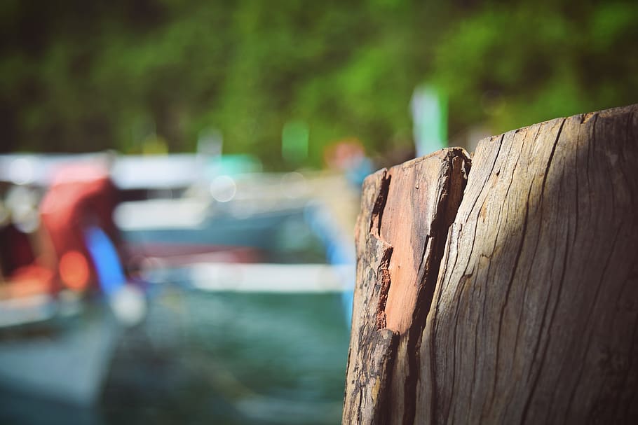 wood, beach, summer, wood - material, focus on foreground, water HD wallpaper