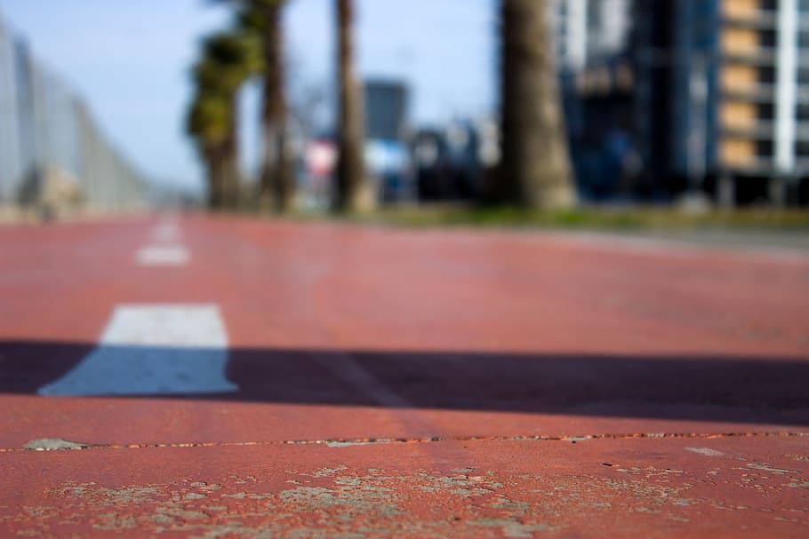 georgia, batumi, day, no people, focus on foreground, sunlight HD wallpaper