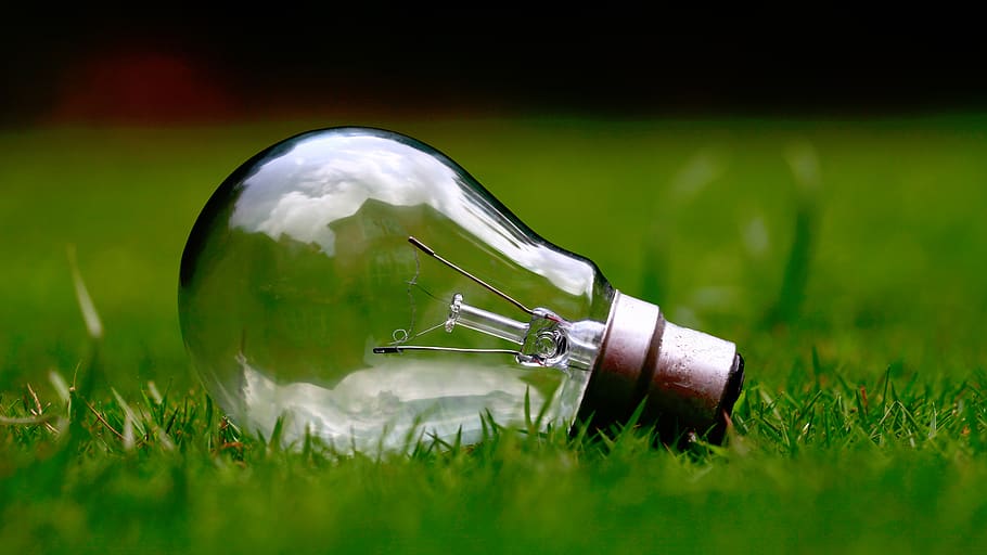 nature, green, grass, light, bulb, filaments, glass - material HD wallpaper