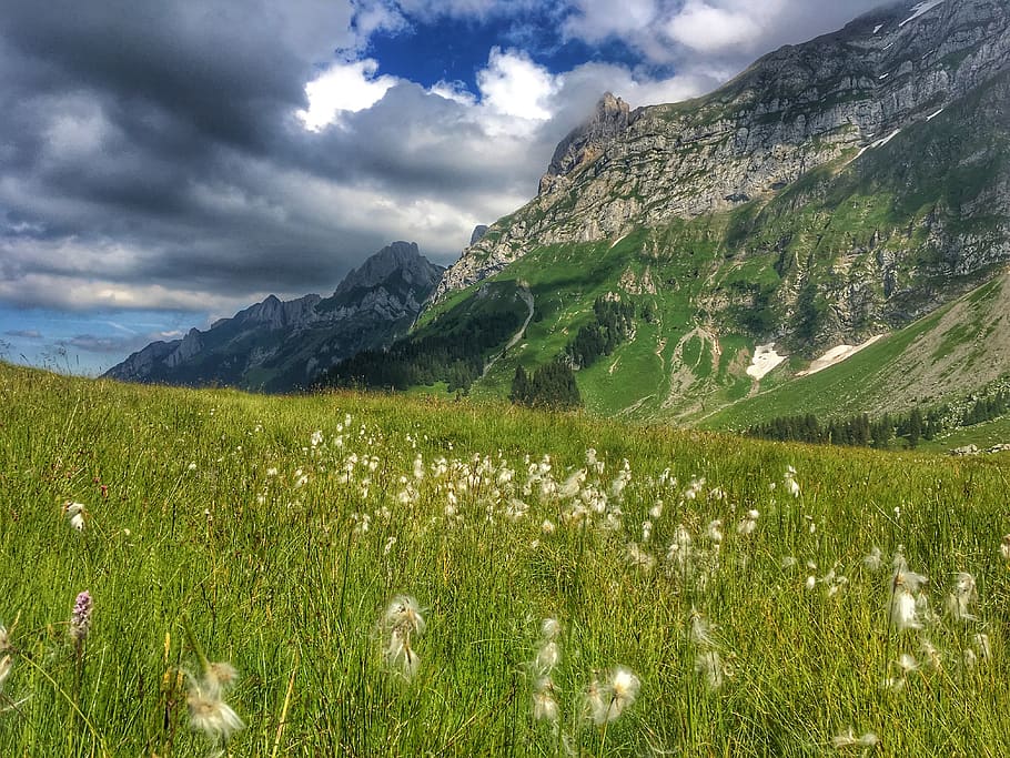 Green Grass Near Mountain , clouds, grassland, landscape, nature HD wallpaper