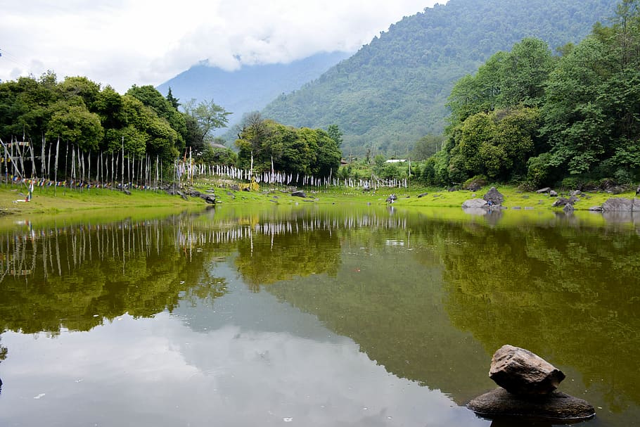 india, yuksom, hills, trees, sikkim, lake, fog, stones, clouds, HD wallpaper