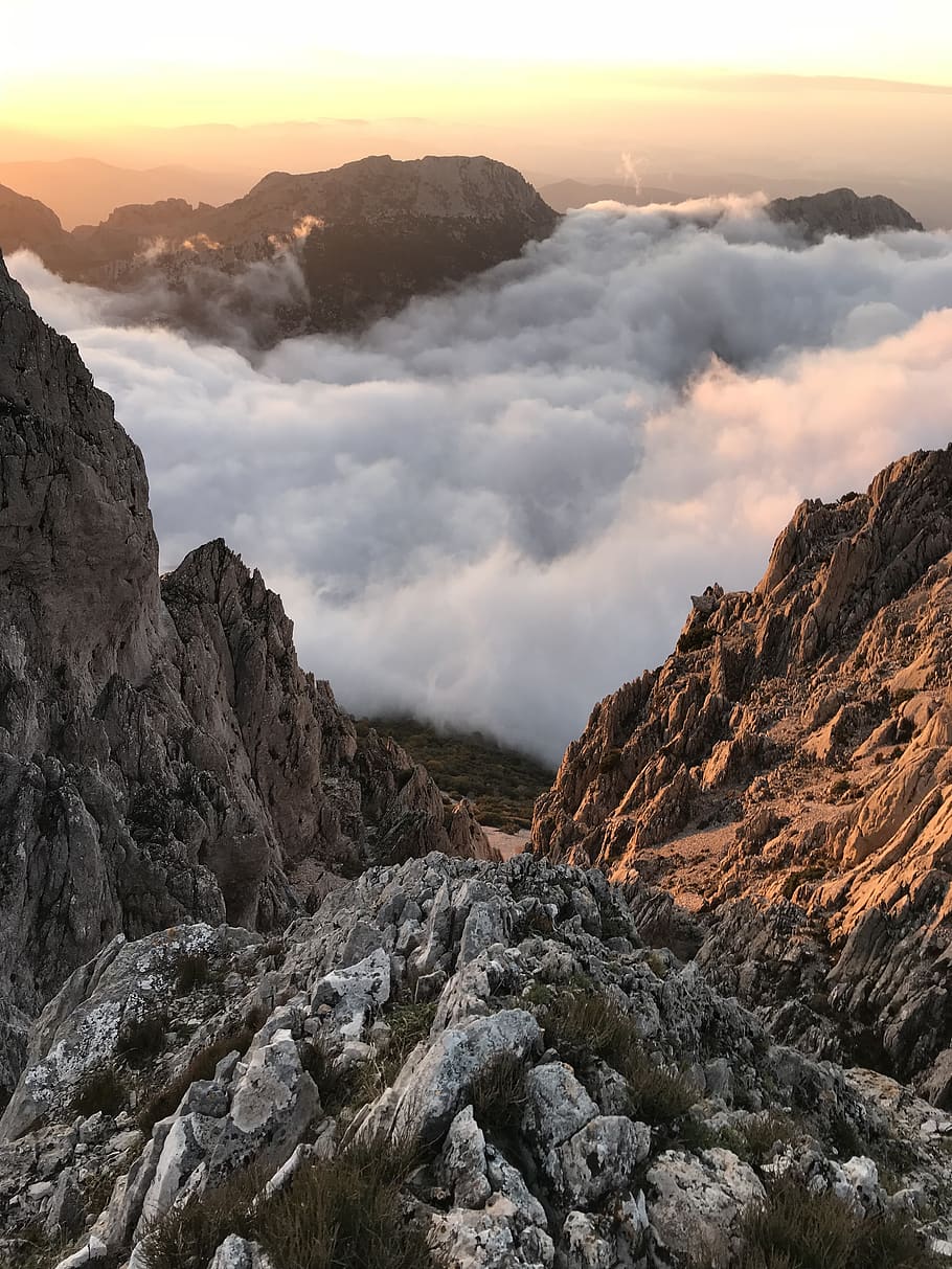 Rocky Mountain And Sea Of Clouds, daylight, high, landscape, nature HD wallpaper