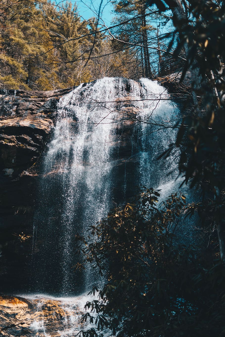 waterfalls surrounded with trees, river, outdoors, forest, united states HD wallpaper