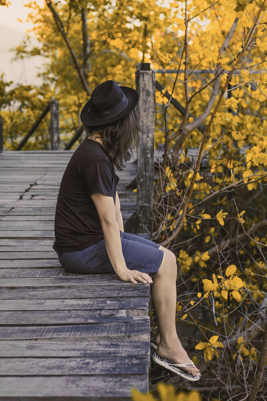 Woman Sitting on Port Beside Trees, back view, beautiful, idyllic HD wallpaper