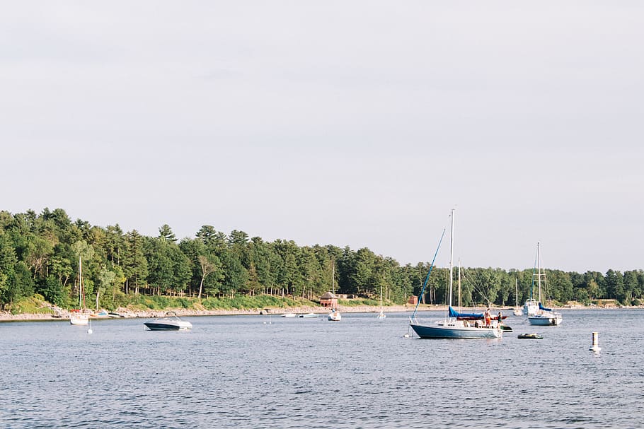 lake champlain, tree, boat, trees, sailboat, sailboats, lakeshore HD wallpaper