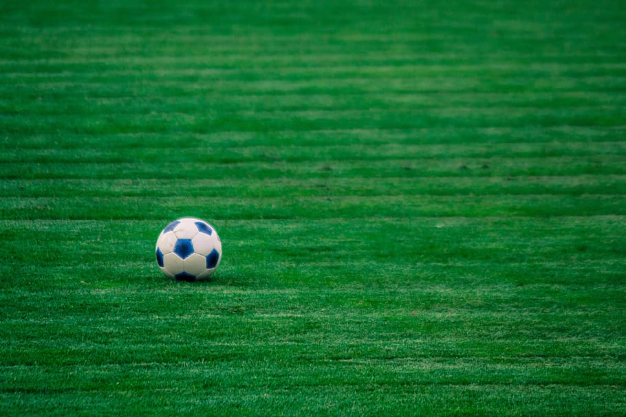 the ball, football, green, stadion, lawn, fc, grass, sport, HD wallpaper