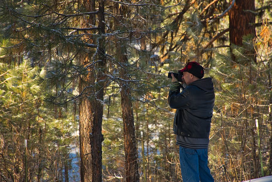 Man Holding Camera, forest, park, person, photographer, snow HD wallpaper