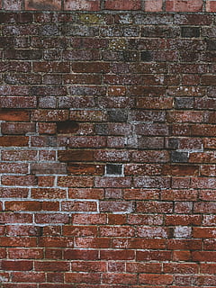 brown brick wall, rug, stone wall, texture, walkway, path, moss HD wallpaper