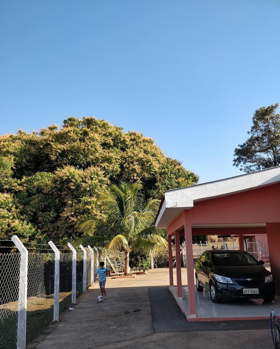 brazil, guaraçaí, tree, sky, plant, real people, architecture HD wallpaper