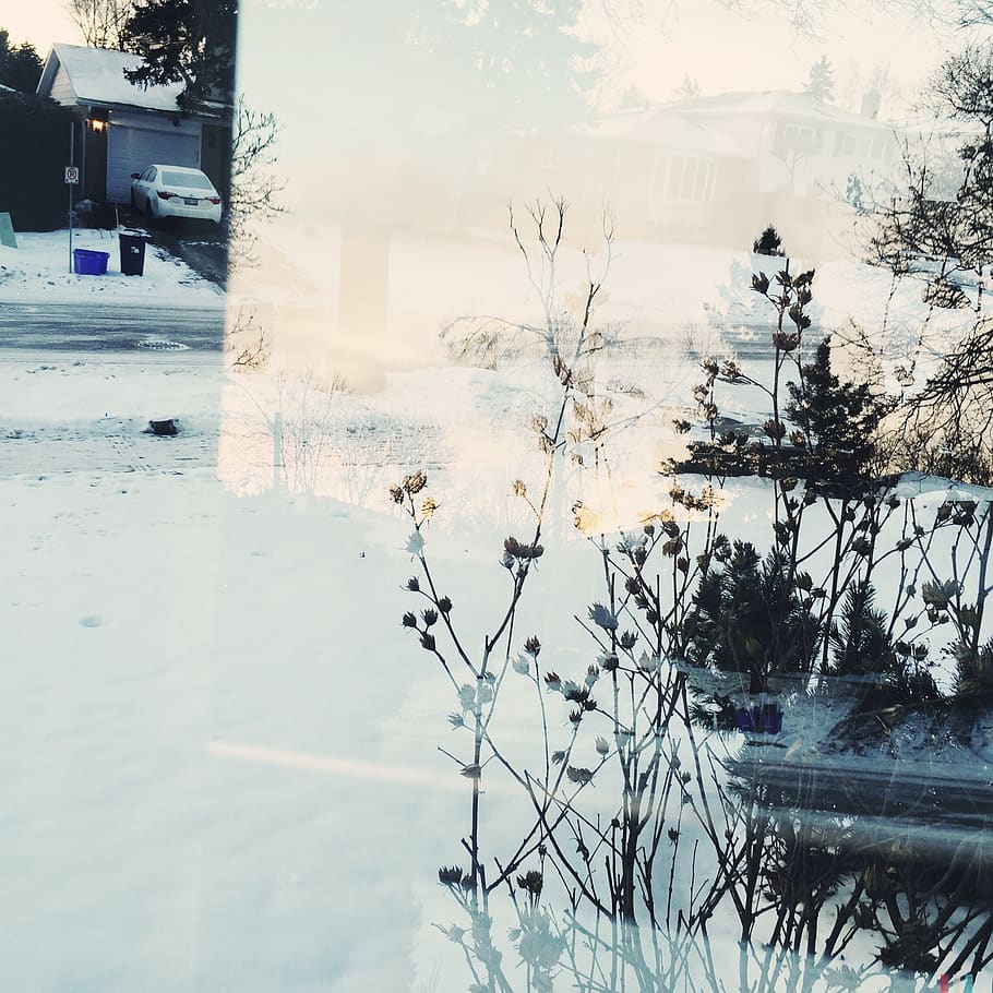 double exposure, winter, snow, suburbs, plants, shadows, overlay HD wallpaper