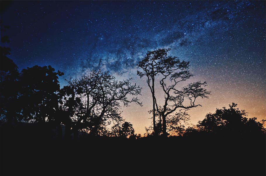 nature, landscape, trees, mountain, stars, dark, night, stargazing HD wallpaper