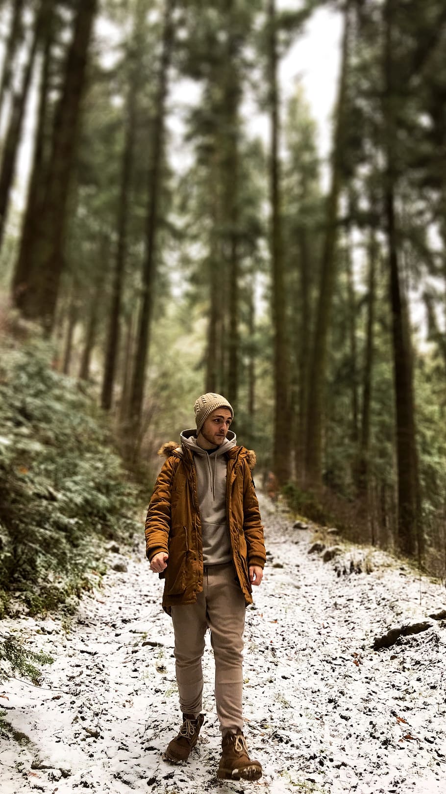 portrait, mountain, tree, forest, land, one person, full length HD wallpaper