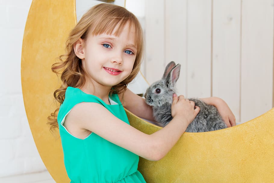 rabbit, hare, baby, girl, studio, toy, beautiful, cute, kids, HD wallpaper