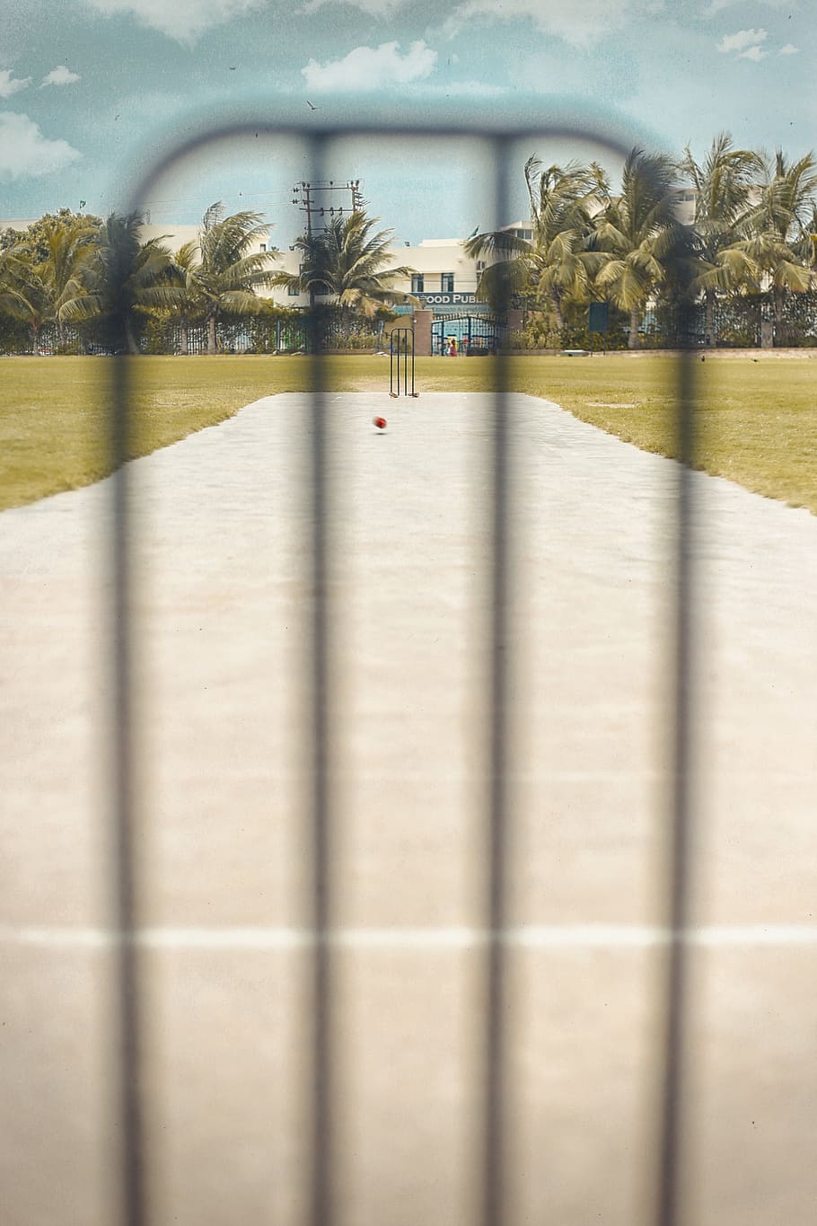cricket, ball, trees, pitch, composition, beautiful, amazing