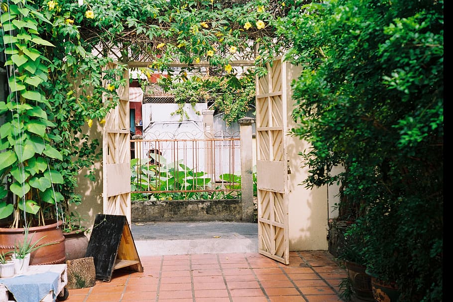 green, gate, tree, nature, home, hochiminhcity, plant, growth HD wallpaper