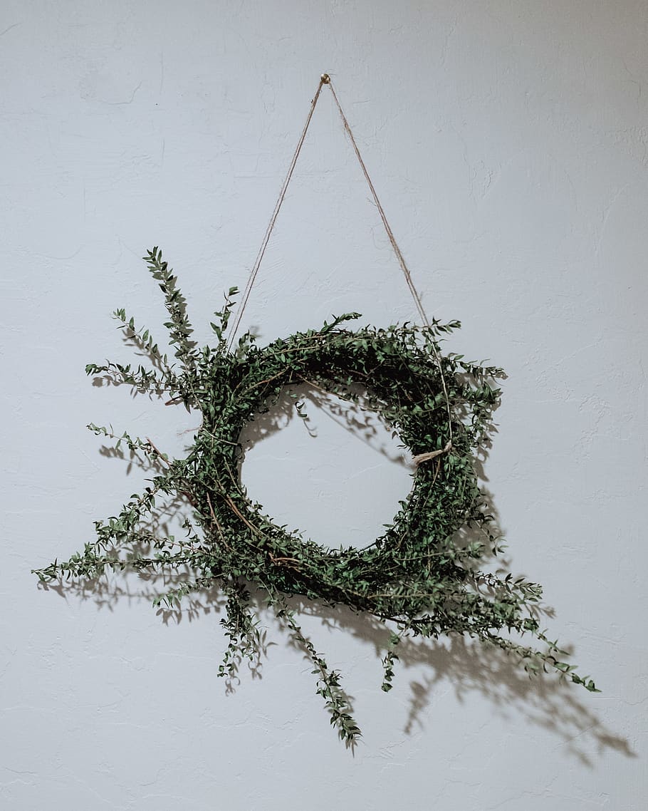 green leafed wreath on wall, no people, plant, tree, reflection HD wallpaper