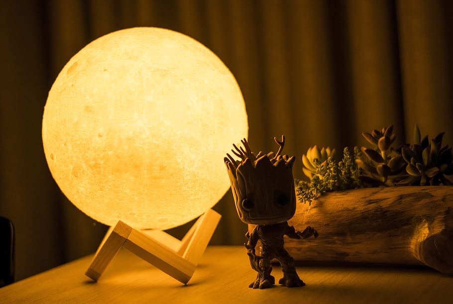 moon, moom, nature, groot, trees, night, indoors, art and craft HD wallpaper