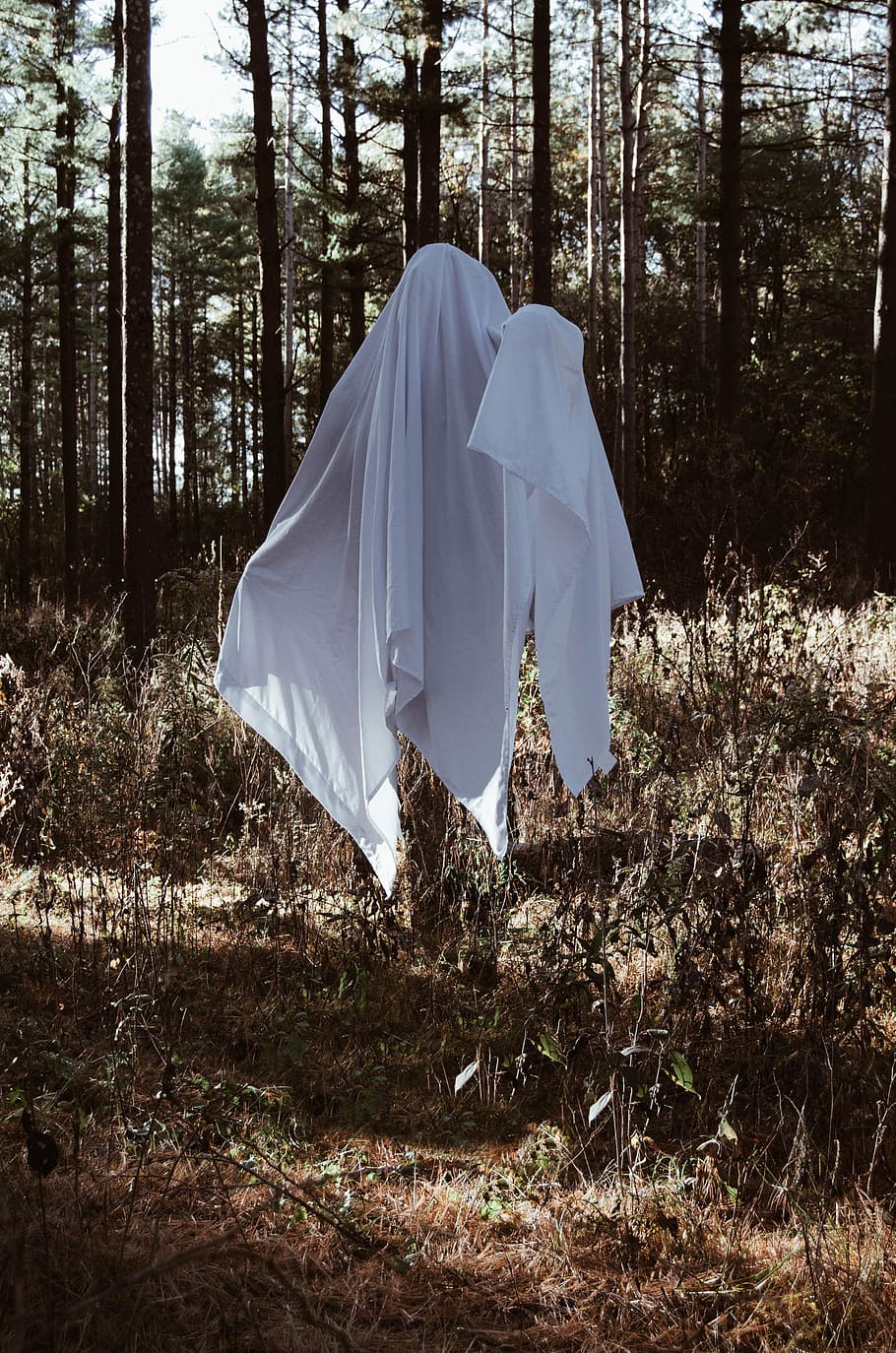 person wearing white textile under brown trees, spooky, halloween, HD wallpaper