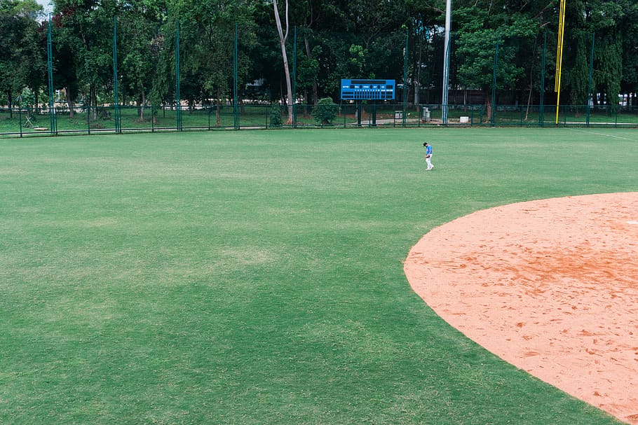 sport, tree, plant, green color, grass, real people, leisure activity HD wallpaper