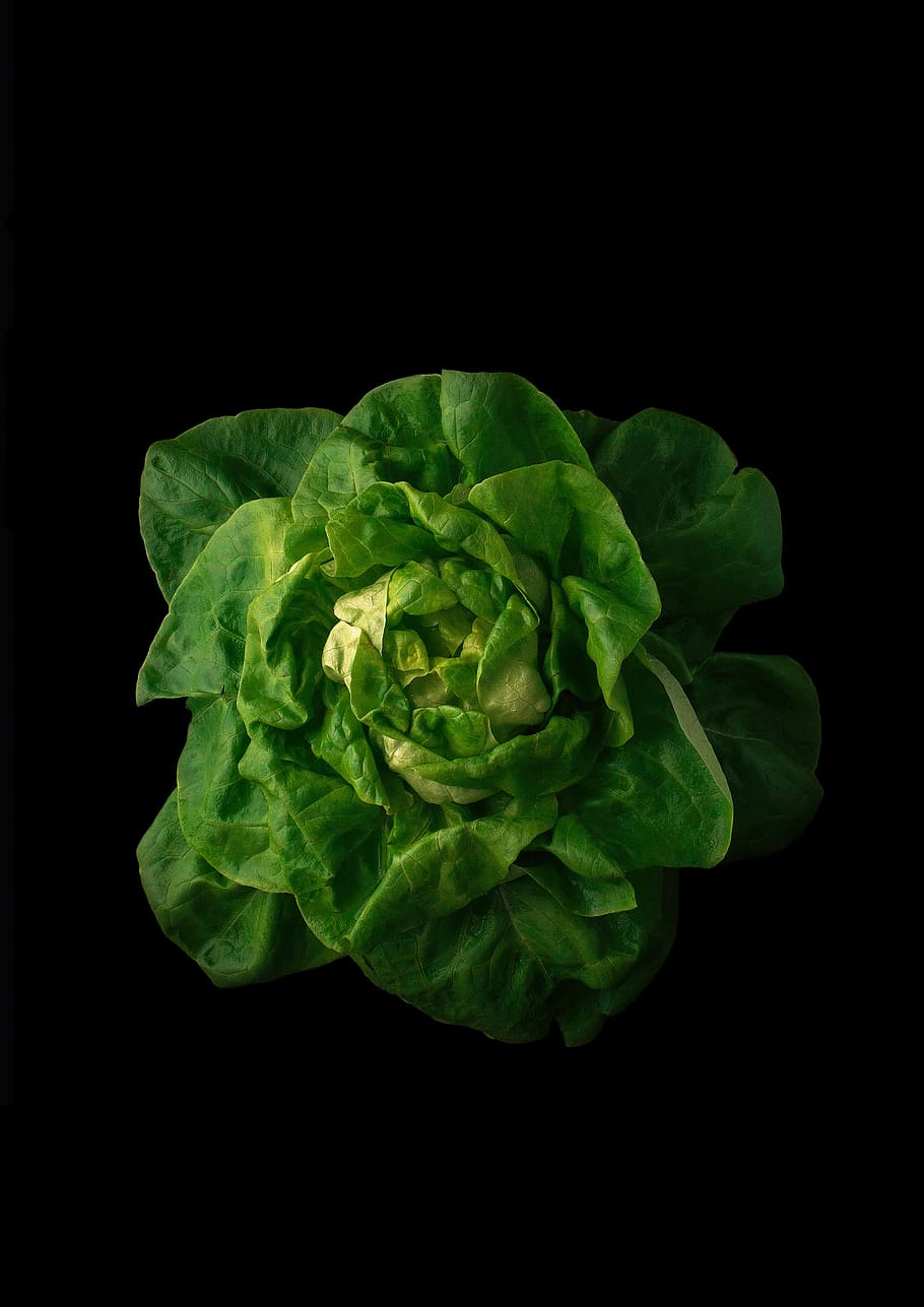 sheet, plant, background, vegetable, nature, food, freshness, HD wallpaper