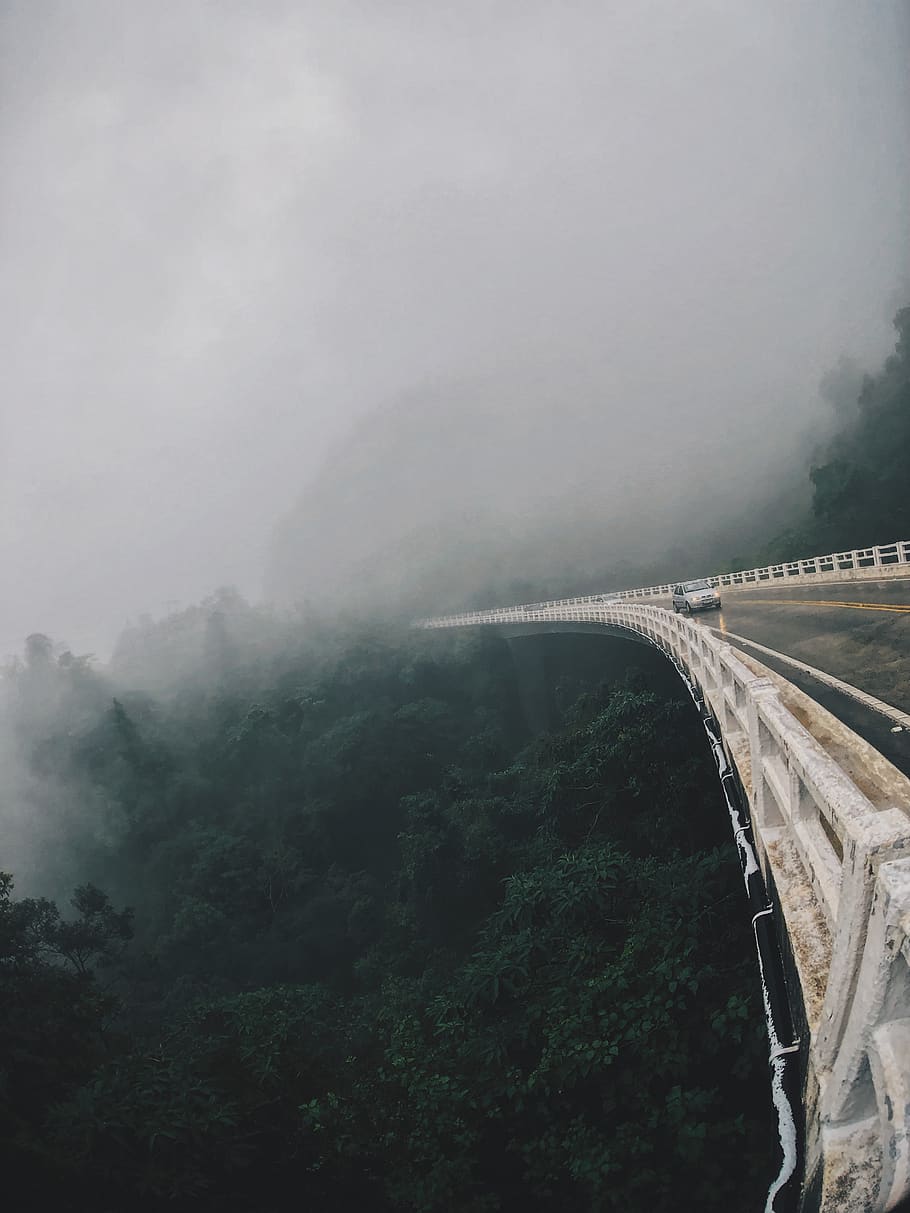 Long Bridge Above a Forest, fog, high, perspective, roadtrip HD wallpaper