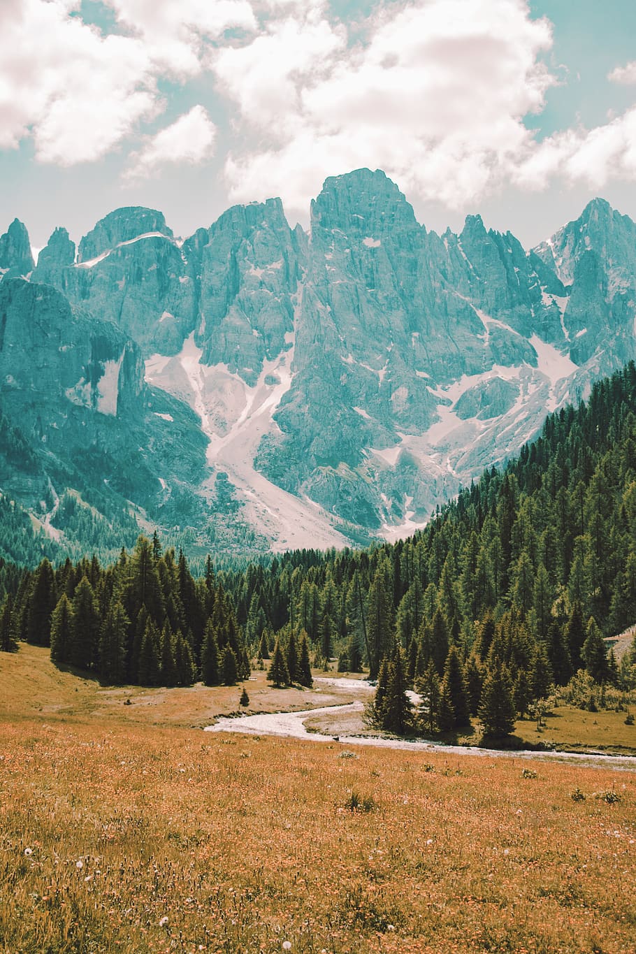 pine trees on open field during daytime, mountain, scenics - nature HD wallpaper
