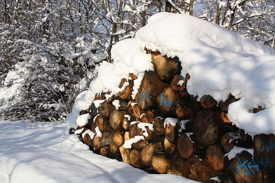 winter, snow, firewood, forest, trees, snow landscape, alpine HD wallpaper